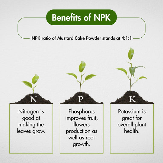 benefits of NPK